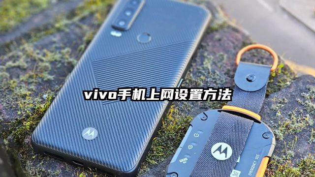 vivo手机上网设置方法