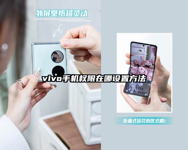 vivo手机权限在哪设置方法