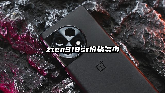 zten918st价格多少