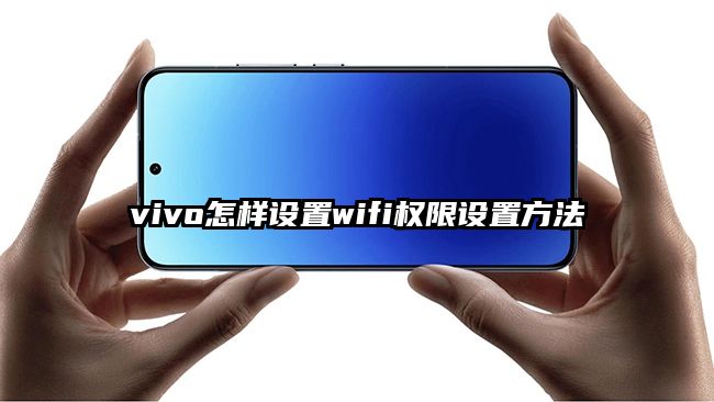 vivo怎样设置wifi权限设置方法