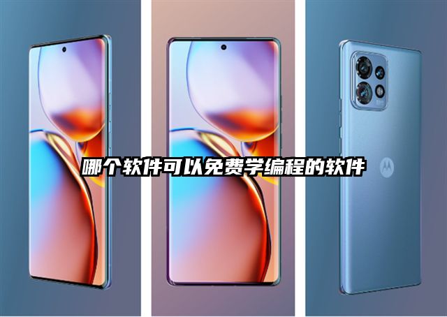 哪个软件可以免费学编程的软件
