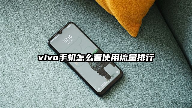 vivo手机怎么看使用流量排行