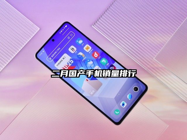 二月国产手机销量排行