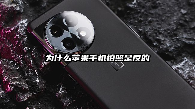 为什么苹果手机拍照是反的