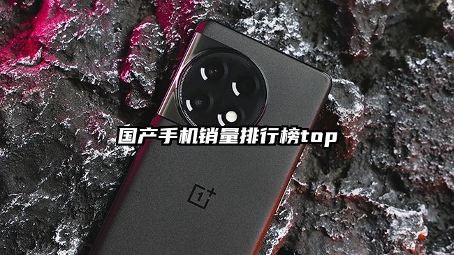 国产手机销量排行榜top