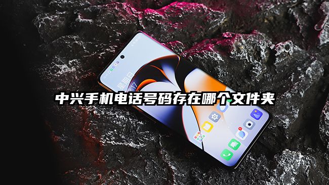 中兴手机电话号码存在哪个文件夹