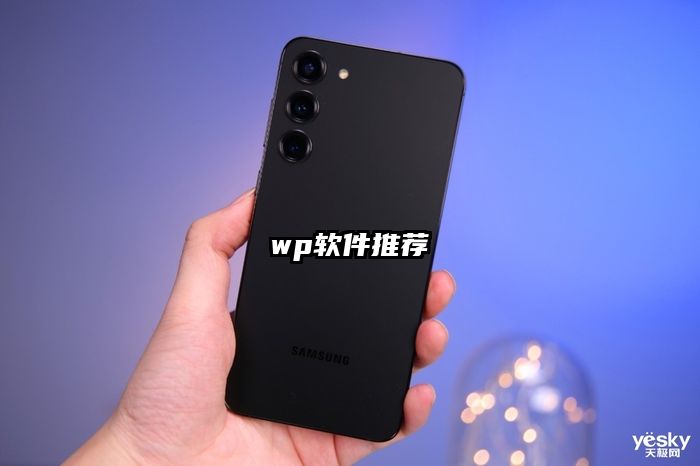wp软件推荐