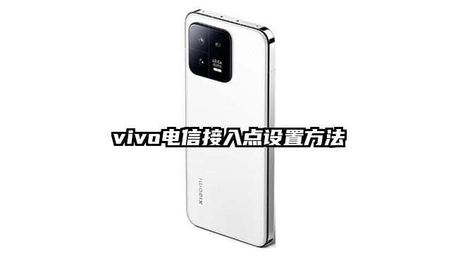 vivo电信接入点设置方法