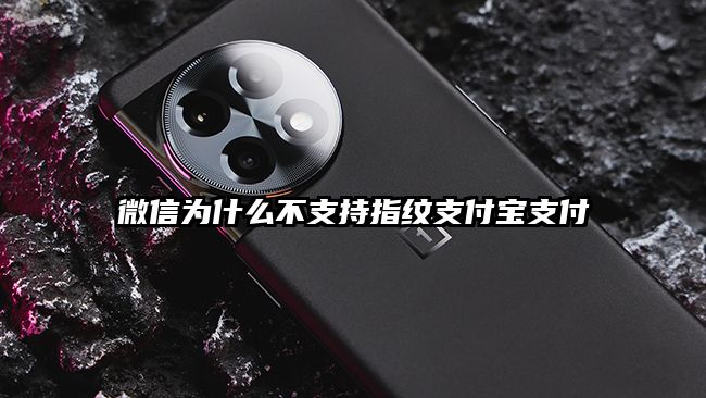 微信为什么不支持指纹支付宝支付