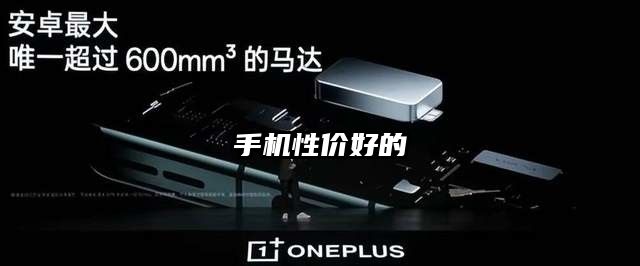 手机性价好的