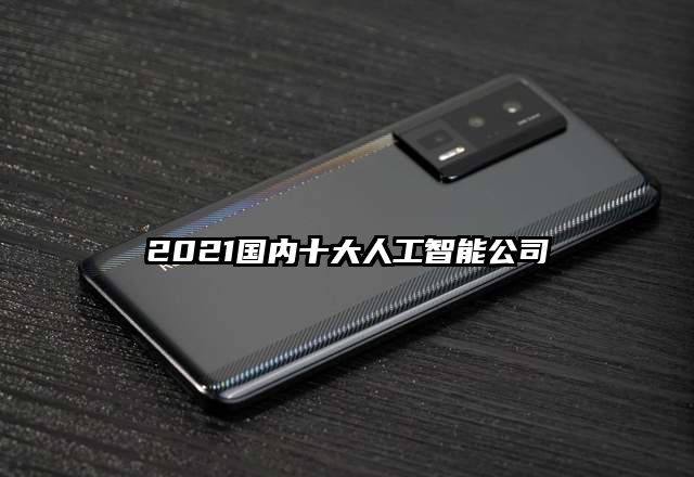 2021国内十大人工智能公司