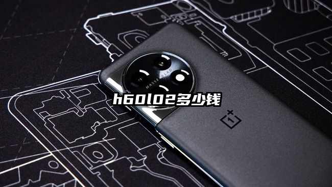 h60l02多少钱