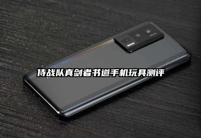 侍战队真剑者书道手机玩具测评