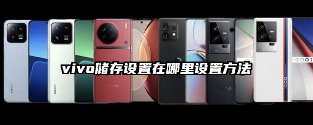 vivo储存设置在哪里设置方法