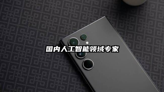 国内人工智能领域专家