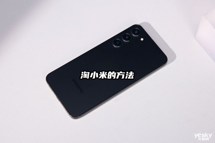 淘小米的方法