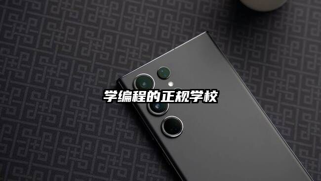 学编程的正规学校