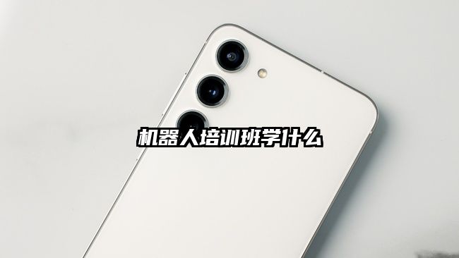 机器人培训班学什么