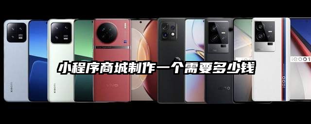 小程序商城制作一个需要多少钱