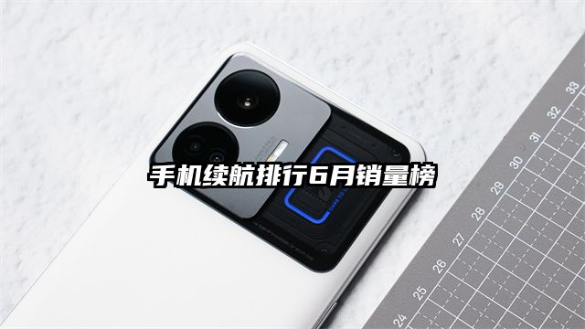 手机续航排行6月销量榜