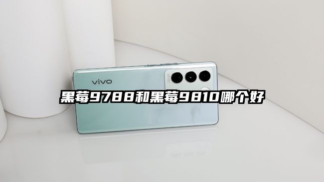 黑莓9788和黑莓9810哪个好