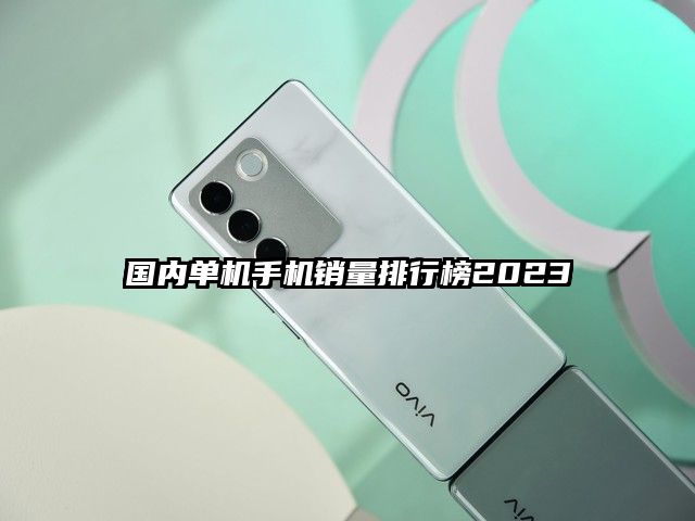 国内单机手机销量排行榜2023