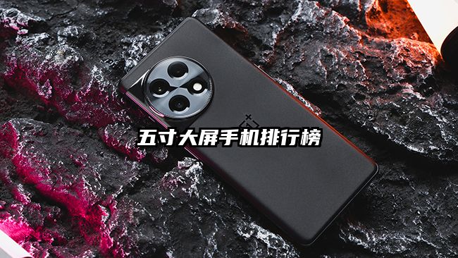 五寸大屏手机排行榜