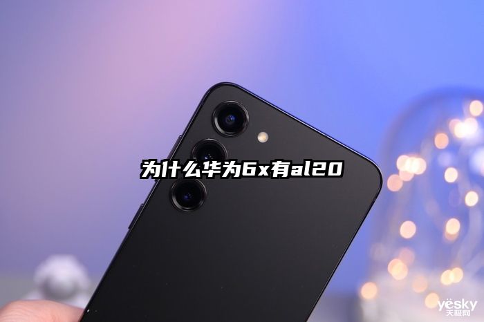 为什么华为6x有al20