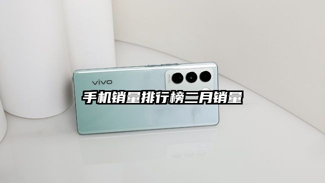 手机销量排行榜二月销量