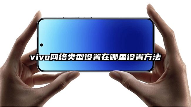 vivo网络类型设置在哪里设置方法