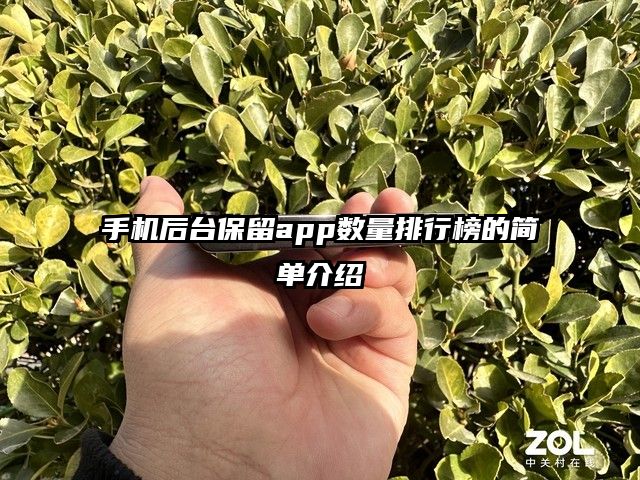 手机后台保留app数量排行榜的简单介绍