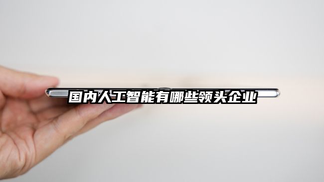国内人工智能有哪些领头企业