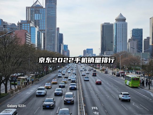 京东2022手机销量排行