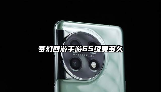 梦幻西游手游65级要多久