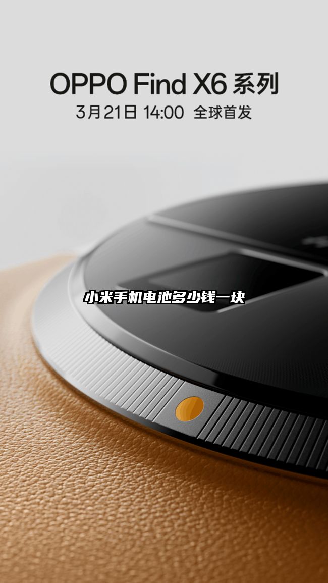 小米手机电池多少钱一块