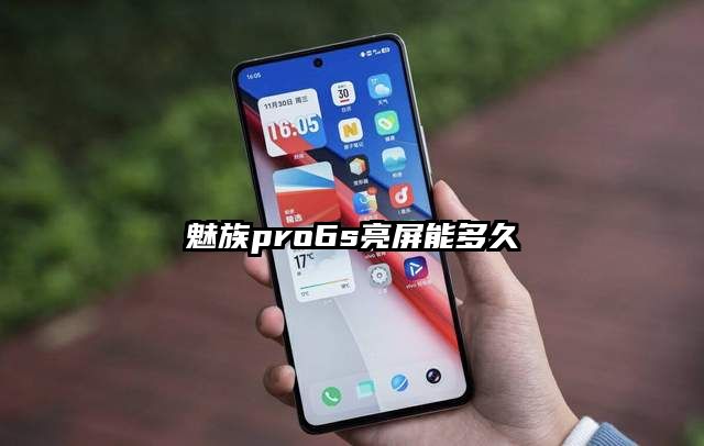 魅族pro6s亮屏能多久