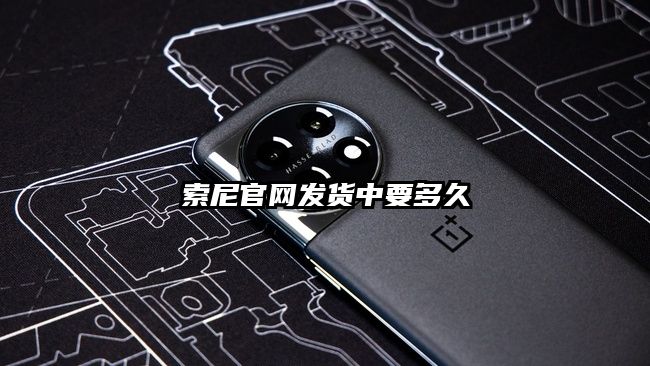 索尼官网发货中要多久