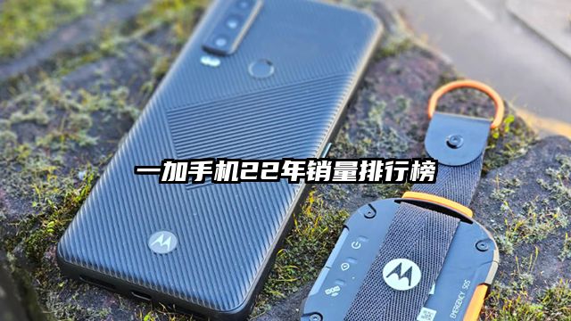 一加手机22年销量排行榜