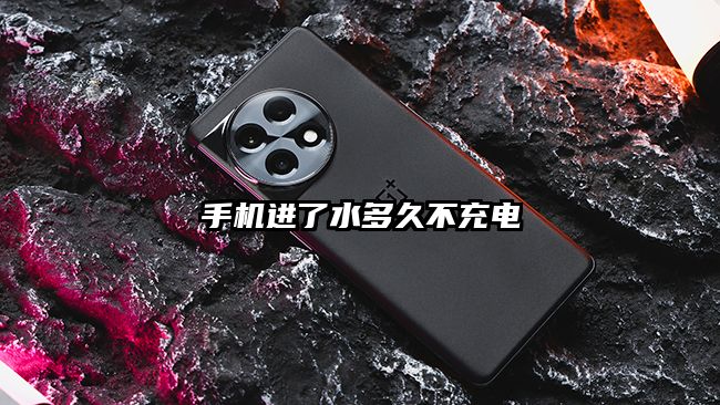 手机进了水多久不充电