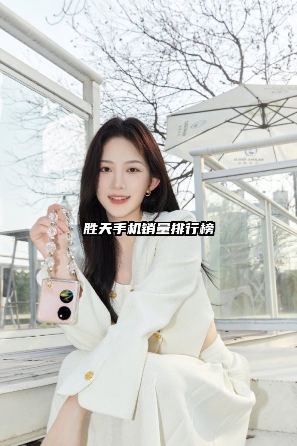 胜天手机销量排行榜