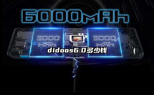didoos6.0多少钱