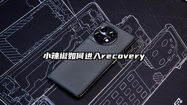 小辣椒如何进入recovery