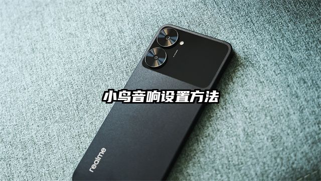 小鸟音响设置方法