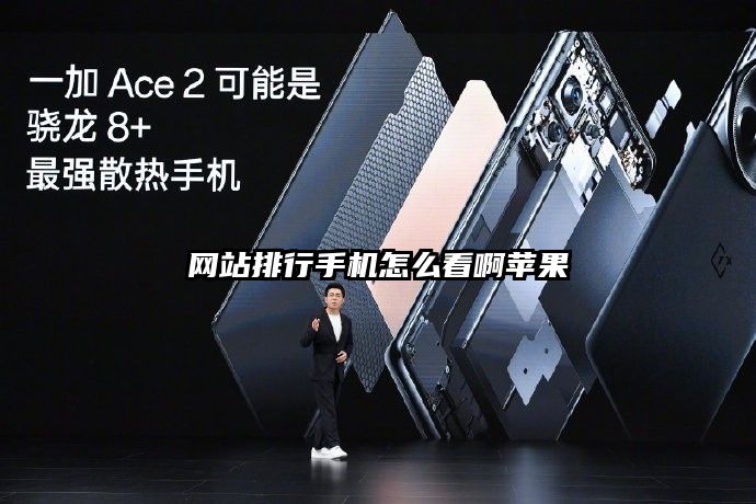 网站排行手机怎么看啊苹果