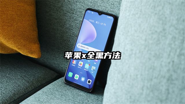 苹果x全黑方法