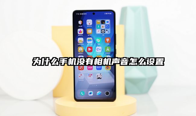 为什么手机没有相机声音怎么设置